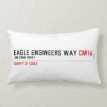 Eagle Engineers way  Pillows (Lumbar)
