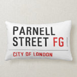 PARNELL STREET  Pillows (Lumbar)