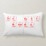 THE BEST 
 MAMMA
   Pillows (Lumbar)