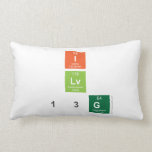 I
 Lv
 13g  Pillows (Lumbar)