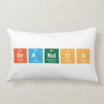 BRANDON  Pillows (Lumbar)
