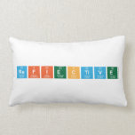 Refiective  Pillows (Lumbar)