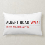 Albert Road  Pillows (Lumbar)