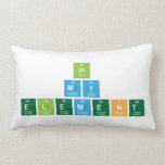 IN
 MY
 ELEMENT  Pillows (Lumbar)