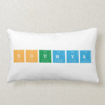SOUMYA  Pillows (Lumbar)