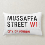 Mussaffa Street  Pillows (Lumbar)