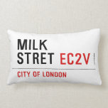 Milk  Stret  Pillows (Lumbar)
