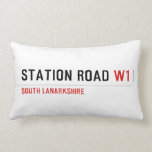 station road  Pillows (Lumbar)