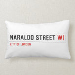 Naraldo Street  Pillows (Lumbar)