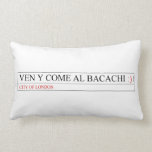 Ven y come al BACACHI  Pillows (Lumbar)