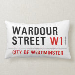 WARDOUR STREET  Pillows (Lumbar)