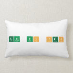 eres un peo  Pillows (Lumbar)