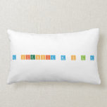 A CIENCIA M O L A  Pillows (Lumbar)