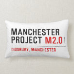 Manchester Project  Pillows (Lumbar)