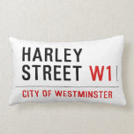 HARLEY STREET  Pillows (Lumbar)