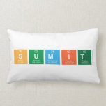 SUMIT  Pillows (Lumbar)