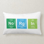 Norgin  Pillows (Lumbar)