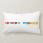 Chemical Revision  Pillows (Lumbar)