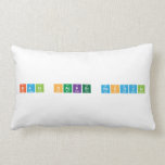 brain hacker festival  Pillows (Lumbar)