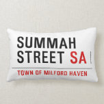 Summah Street  Pillows (Lumbar)