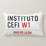 Instituto CEFI  Pillows (Lumbar)