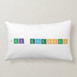 Jack Greenspan  Pillows (Lumbar)
