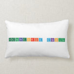 Preparatoria Anahuac  Pillows (Lumbar)