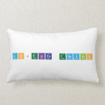 anjelica trevino  Pillows (Lumbar)