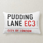 PUDDING LANE  Pillows (Lumbar)