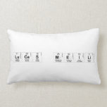 Lucas Meili  Pillows (Lumbar)