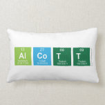 Alcott  Pillows (Lumbar)