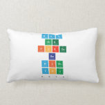 May
 the
 force
 be
 with
 you
 2019  Pillows (Lumbar)