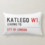 KATLEGO  Pillows (Lumbar)