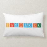 Chemicraft  Pillows (Lumbar)