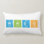 waldo  Pillows (Lumbar)