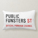 public funsters  Pillows (Lumbar)