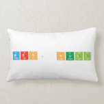 Mrs. Null  Pillows (Lumbar)