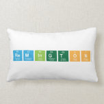 Remington  Pillows (Lumbar)
