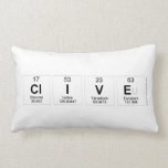 Clive  Pillows (Lumbar)