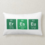 ereseu  Pillows (Lumbar)