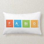fabio  Pillows (Lumbar)