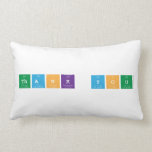 Thank You  Pillows (Lumbar)