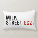 MILK  STREET  Pillows (Lumbar)