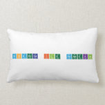 NisaHoca ile Fendekal  Pillows (Lumbar)
