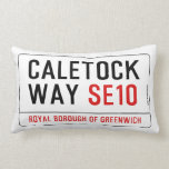 CALETOCK  WAY  Pillows (Lumbar)