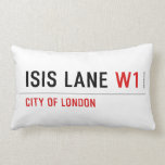 Isis Lane  Pillows (Lumbar)