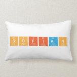 Sofian  Pillows (Lumbar)