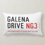galena drive  Pillows (Lumbar)