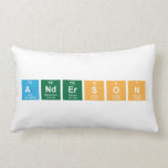 Anderson  Pillows (Lumbar)