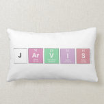 jarvis  Pillows (Lumbar)